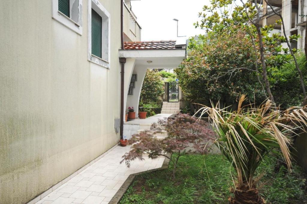 Apartment Jana Petrovac المظهر الخارجي الصورة